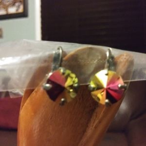 Women's earrings